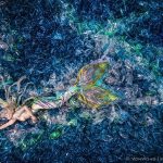mermaids-hate-plastic-pollution-benjamin-von-wong-04