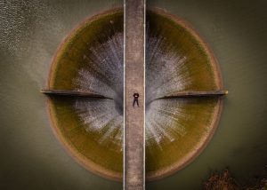 Professional Beauty | Second Prize - Spillway Selfie